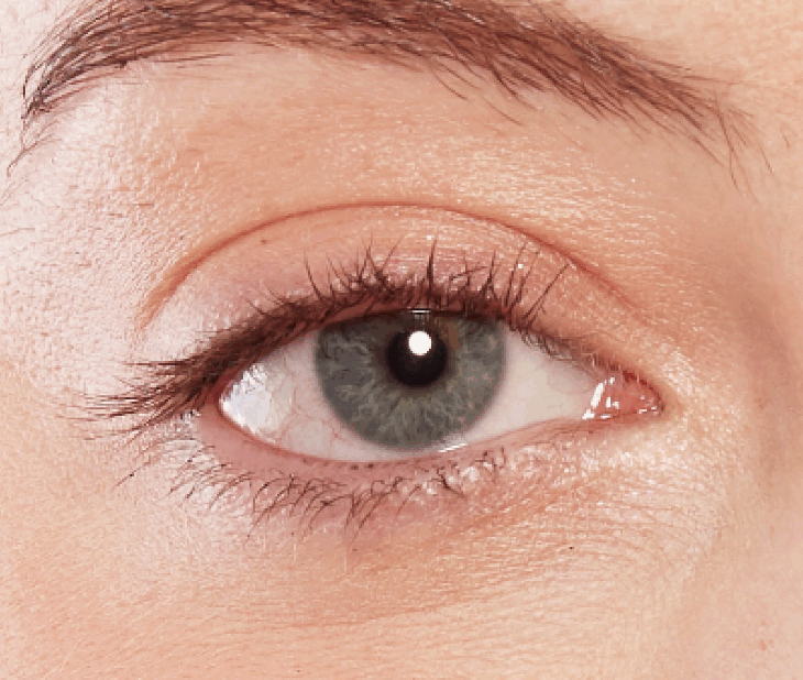 Heated Eyelash Curler