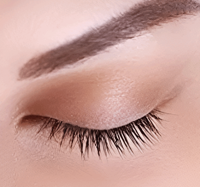 Reusable Magnetic Lashes Kit